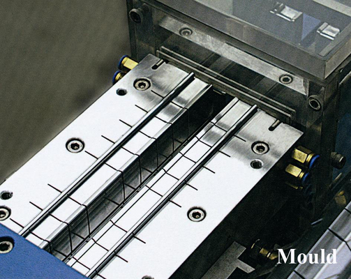 Custom Plastic Moulding Die Extrusion Molding Design